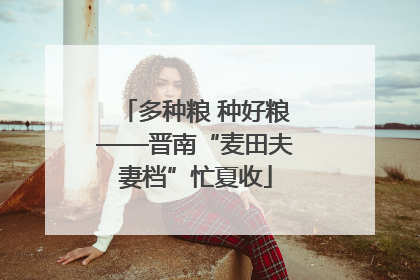 多种粮 种好粮——晋南“麦田夫妻档”忙夏收
