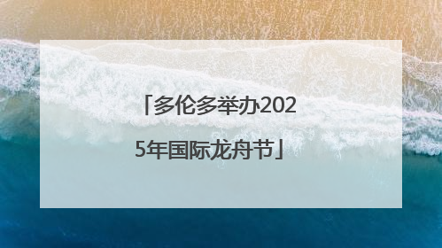 多伦多举办2025年国际龙舟节