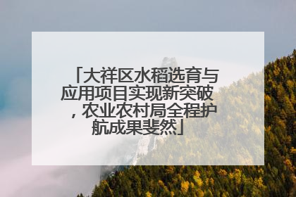 大祥区水稻选育与应用项目实现新突破，农业农村局全程护航成果斐然