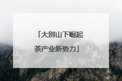 大别山下崛起茶产业新势力