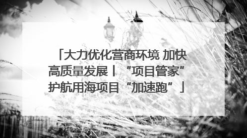 大力优化营商环境 加快高质量发展丨“项目管家”护航用海项目“加速跑”