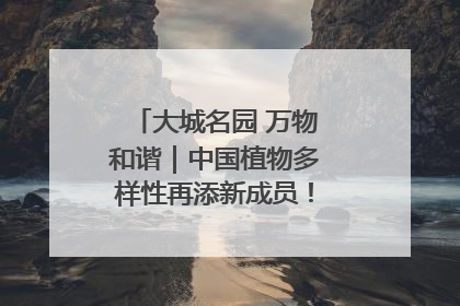 大城名园 万物和谐｜中国植物多样性再添新成员！它只在西藏墨脱