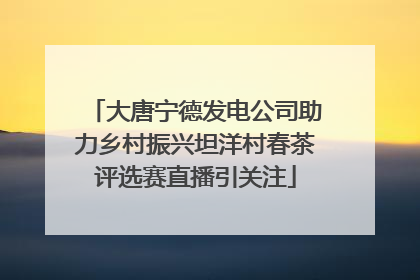 大唐宁德发电公司助力乡村振兴坦洋村春茶评选赛直播引关注