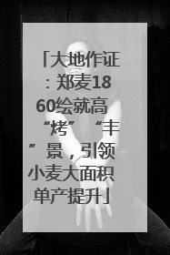 大地作证：郑麦1860绘就高“烤”“丰”景，引领小麦大面积单产提升