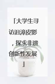 大学生寻访沮漳皮影，探求非遗创新性发展