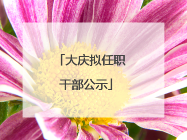 大庆拟任职干部公示