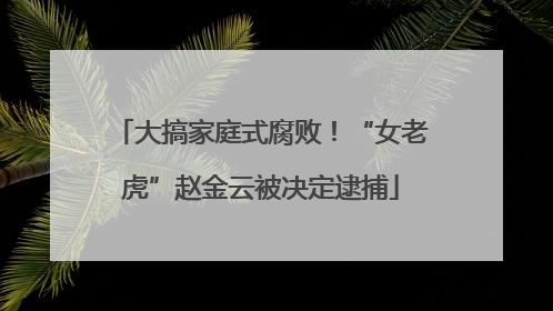 大搞家庭式腐败！“女老虎”赵金云被决定逮捕