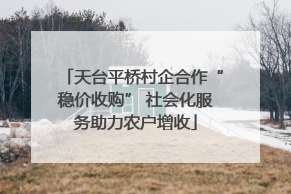 天台平桥村企合作“稳价收购” 社会化服务助力农户增收