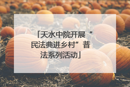 天水中院开展“民法典进乡村”普法系列活动