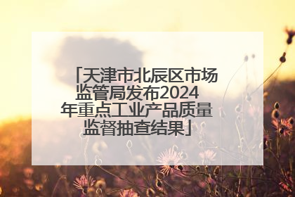 天津市北辰区市场监管局发布2024年重点工业产品质量监督抽查结果