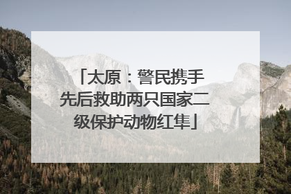 太原：警民携手 先后救助两只国家二级保护动物红隼