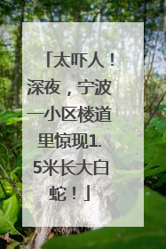 太吓人！深夜，宁波一小区楼道里惊现1.5米长大白蛇！