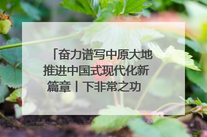 奋力谱写中原大地推进中国式现代化新篇章丨下非常之功 战非常“三夏”