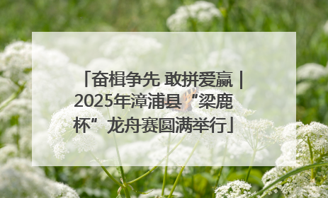 奋楫争先 敢拼爱赢｜2025年漳浦县“梁鹿杯”龙舟赛圆满举行