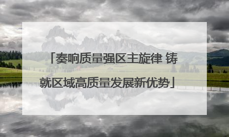 奏响质量强区主旋律 铸就区域高质量发展新优势