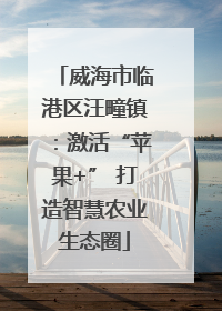 威海市临港区汪疃镇：激活“苹果+” 打造智慧农业生态圈