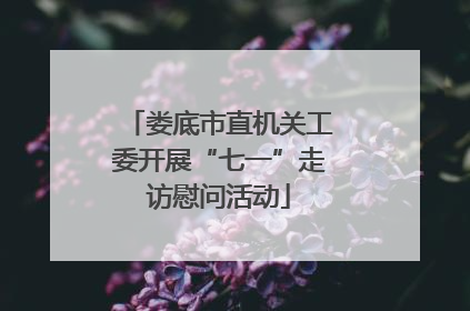 娄底市直机关工委开展“七一”走访慰问活动