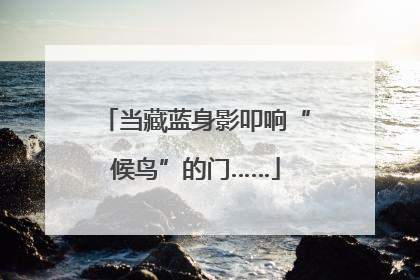 当藏蓝身影叩响“候鸟”的门……
