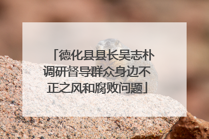 德化县县长吴志朴调研督导群众身边不正之风和腐败问题
