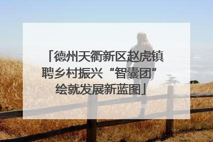 德州天衢新区赵虎镇聘乡村振兴“智囊团” 绘就发展新蓝图