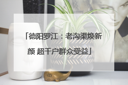 德阳罗江：老沟渠焕新颜 超千户群众受益