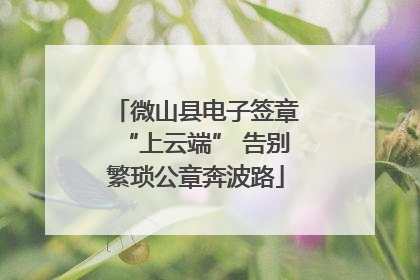 微山县电子签章“上云端” 告别繁琐公章奔波路