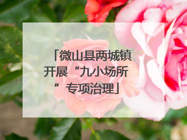 微山县两城镇开展“九小场所”专项治理