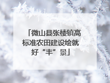微山县张楼镇高标准农田建设绘就好“丰”景