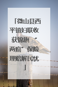 微山县西平镇妇联收获锦旗 “两癌”保险理赔解民忧