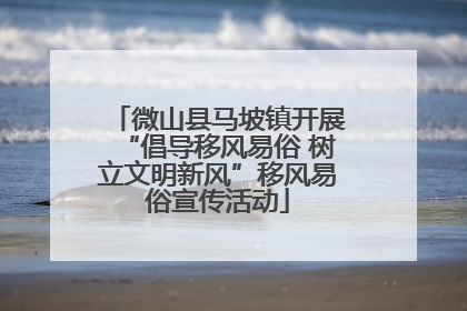 微山县马坡镇开展“倡导移风易俗 树立文明新风”移风易俗宣传活动