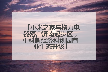 小米之家与格力电器落户济南起步区，中科新经济科创园商业生态升级