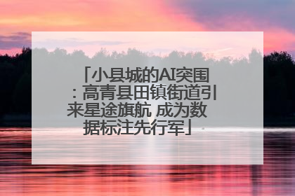 小县城的AI突围：高青县田镇街道引来星途旗航 成为数据标注先行军