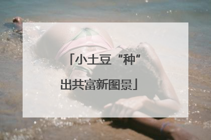 小土豆“种”出共富新图景