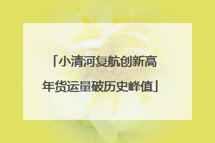 小清河复航创新高 年货运量破历史峰值