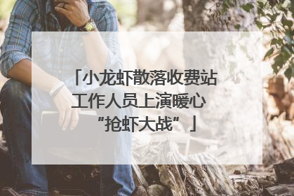 小龙虾散落收费站 工作人员上演暖心“抢虾大战”