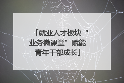 就业人才板块“业务微课堂”赋能青年干部成长