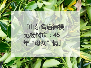 山东省道德模范杨树庆：45年“母女”情
