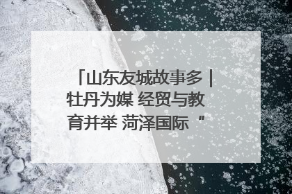 山东友城故事多｜牡丹为媒 经贸与教育并举 菏泽国际“朋友圈”扩容升级