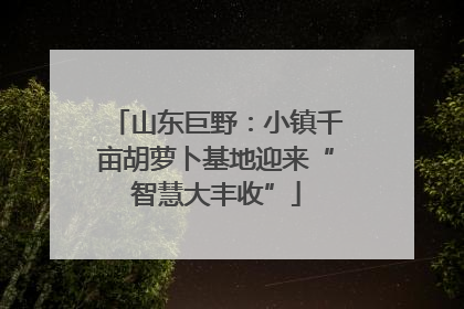 山东巨野：小镇千亩胡萝卜基地迎来“智慧大丰收”