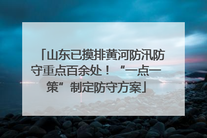 山东已摸排黄河防汛防守重点百余处！“一点一策”制定防守方案