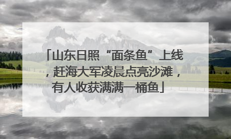 山东日照“面条鱼”上线，赶海大军凌晨点亮沙滩，有人收获满满一桶鱼