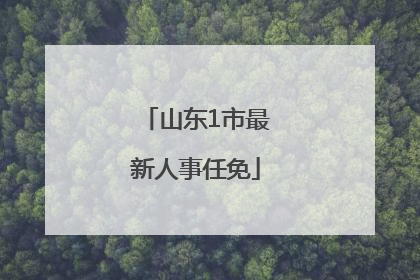 山东1市最新人事任免