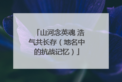 山河念英魂 浩气共长存（地名中的抗战记忆）