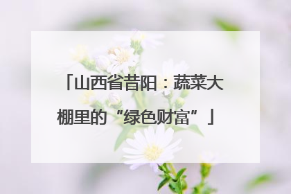 山西省昔阳：蔬菜大棚里的“绿色财富”