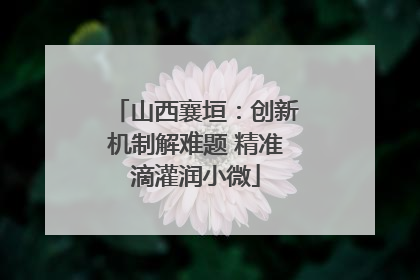 山西襄垣：创新机制解难题 精准滴灌润小微