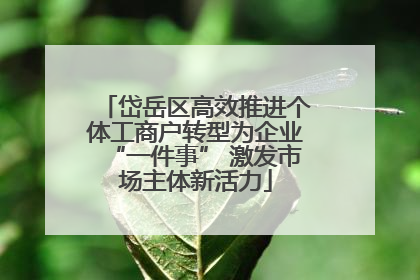 岱岳区高效推进个体工商户转型为企业“一件事” 激发市场主体新活力