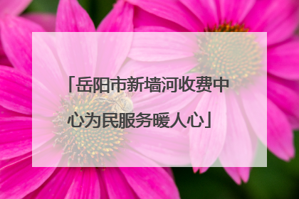 岳阳市新墙河收费中心为民服务暖人心