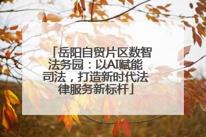 岳阳自贸片区数智法务园：以AI赋能司法，打造新时代法律服务新标杆