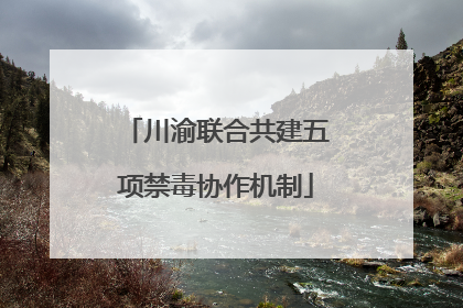 川渝联合共建五项禁毒协作机制