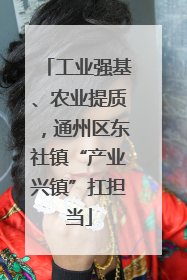 工业强基、农业提质，通州区东社镇“产业兴镇”扛担当